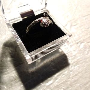 Silver Snake ring with red eyes